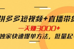 拼多多短視頻 直播帶貨，一天賺3000 獨家快速爆單方法，批量起號
