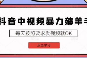 2022抖音中視頻暴力薅羊毛白嫖項(xiàng)目：新號(hào)每天20塊，老號(hào)幾天幾百塊，可多號(hào)