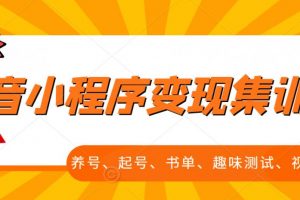 抖音小程序變現集訓課，養號、起號、書單、趣味測試、視頻剪輯，全套流程