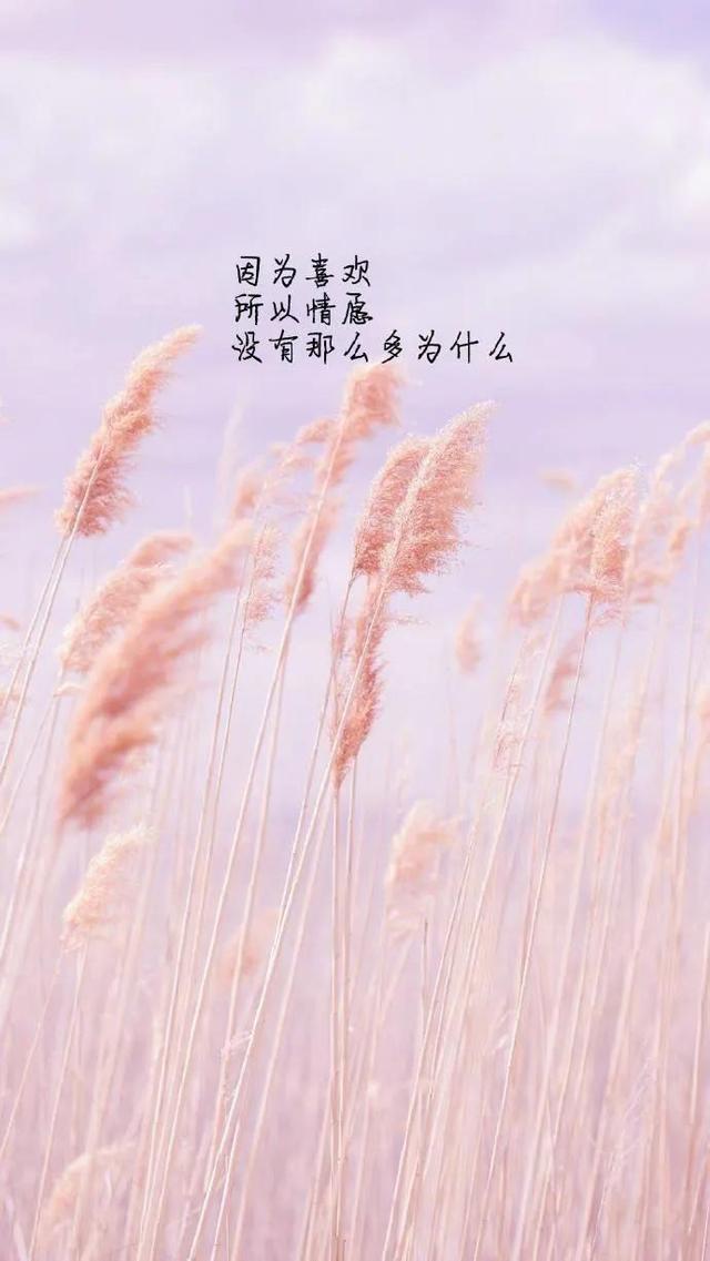 淺草淺草才能沒馬蹄的意思插圖3 淺草淺草才能沒馬蹄的意思插圖3