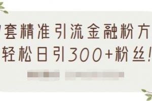 1套精準(zhǔn)引流金融粉方法，輕松日引300 粉絲【視頻課程】
