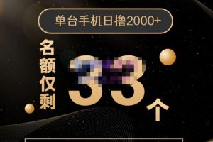 2022年全新口子，手機批量搬磚玩法，一部手機日擼2000