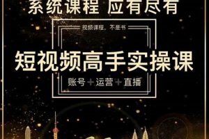 短視頻高手實操課：賬號 運營 直播，從入門到精通，系統課程，應有盡
