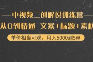 中視頻二創(chuàng)解說(shuō)訓(xùn)練營(yíng)：從0到精通 文案 標(biāo)題 素材