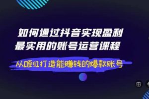 如何通過抖音實現(xiàn)盈利，最實用的賬號運營課程 從0到1打造能賺錢的爆款賬號