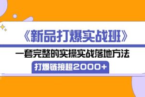 《新品打爆實(shí)戰(zhàn)班》一套完整的實(shí)操實(shí)戰(zhàn)落地方法，打爆鏈接超2000 （38節(jié)課)