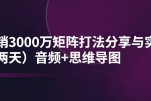 某線下培訓：月銷3000萬矩陣打法分享與實操（兩天）音頻 思維導圖