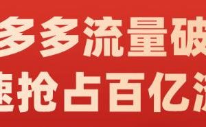 阿杰·拼多多流量破局:如何打黑標(biāo)，爆款的思路，拼多多流量框架，快速搶占百億流量