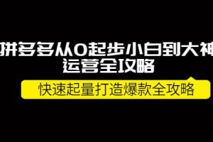 拼多多從0起步小白到大神運營全攻略