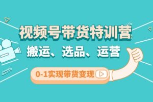視頻號帶貨特訓營(第3期)：搬運、選品、運營、0-1實現帶貨變現