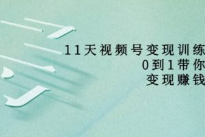好望角·11天視頻號變現訓練營，從0到1打造變現賺錢系統（價值398）