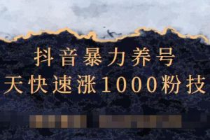 抖音暴力養(yǎng)號，三天快速漲1000粉技術(shù)【視頻課程】