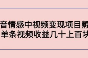 抖音情感中視頻變現項目孵化