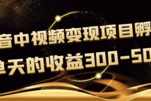 黃島主《抖音中視頻變現(xiàn)項目孵化》單天的收益300-500 操作簡單粗暴