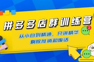 拼多多店群訓練營：從小白到精通，只講精華，剔除推銷和廢話