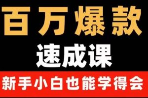 百萬爆款速成課：用數據思維做爆款，小白也能從0-1打造百萬播放視頻