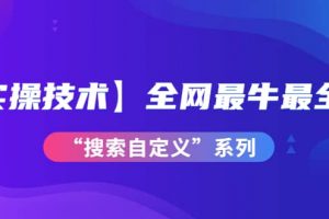 【實操技術】全網(wǎng)最牛最全的“搜索自定義”系列！價值698元
