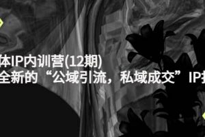新媒體IP內(nèi)訓(xùn)營(12期)，一套全新的“公域引流，私域成交”IP打法，直接帶走
