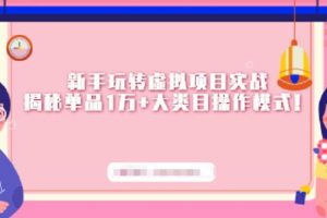 新手玩轉(zhuǎn)虛擬項(xiàng)目實(shí)戰(zhàn)，揭秘單品1萬 大類目操作模式【視頻課程】