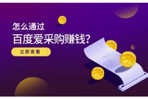 大王·怎么通過百度愛采購賺錢，已經通過百度愛采購完成200多萬的銷量