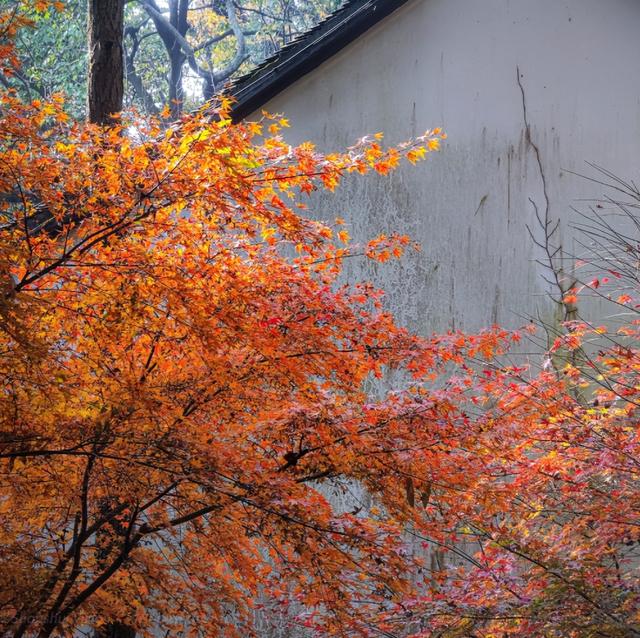 杭州寺廟杭州寺廟有哪些香火比較旺的插圖1 杭州寺廟杭州寺廟有哪些香火比較旺的插圖1