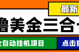 最新國外擼美金三合一全自動掛機項目，單窗口一天2~5美金【腳本 教程】