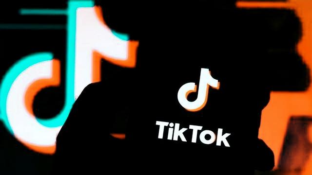 tiktok網頁入口urlebird插圖 tiktok網頁入口urlebird插圖