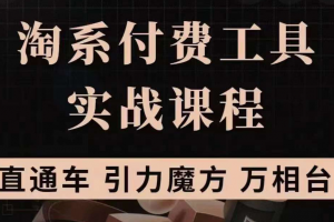 淘系付費工具實戰(zhàn)課程【直通車、引力魔方】戰(zhàn)略優(yōu)化，實操演練（價值1299）