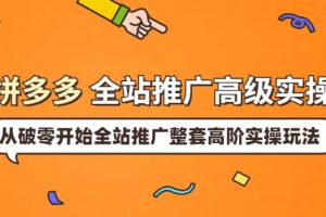拼多多全站推廣高級實操：從破零開始全站推廣整套高階實操玩法