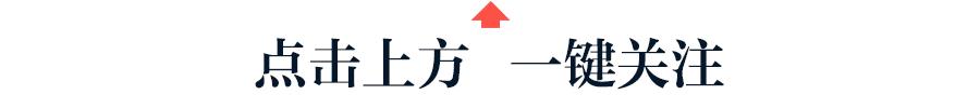旅行團旅行團樂隊成員介紹插圖