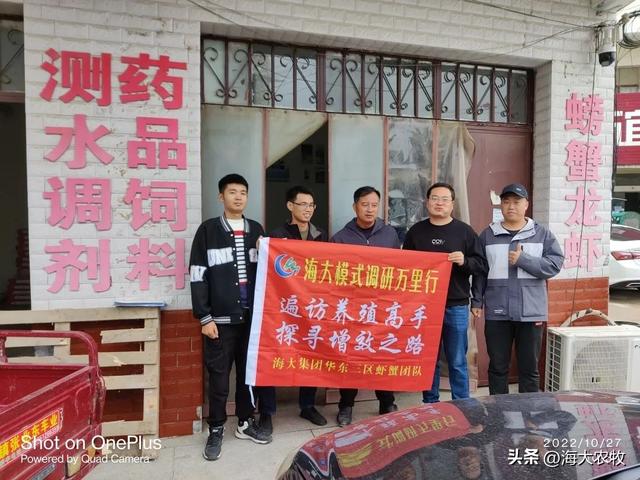 —個10畝魚塘養魚利潤10畝池塘養魚利潤插圖3 —個10畝魚塘養魚利潤10畝池塘養魚利潤插圖3