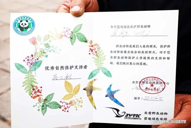 金雕插圖7