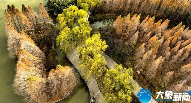 洛陽旅游洛陽旅游攻略自由行攻略插圖3 洛陽旅游洛陽旅游攻略自由行攻略插圖3