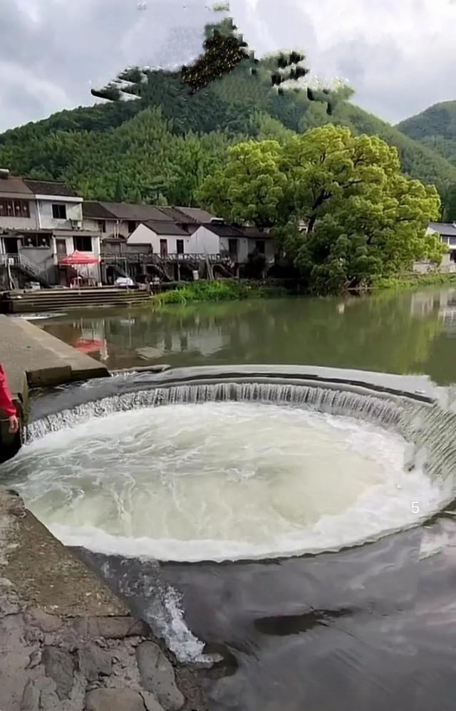 賺錢的項目賺錢的項目都在刑法里嘛插圖1 賺錢的項目賺錢的項目都在刑法里嘛插圖1