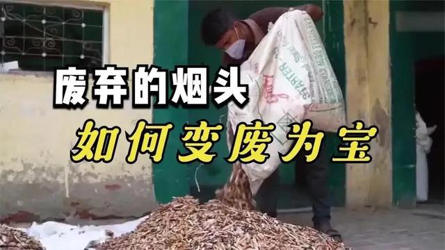 煙頭回收煙頭回收多少錢一斤是抽過的煙頭嗎插圖5 煙頭回收煙頭回收多少錢一斤是抽過的煙頭嗎插圖5