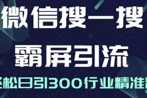 微信搜一搜霸屏引流課，打造被動精準引流系統，輕松日引300行業精準粉【無水印】