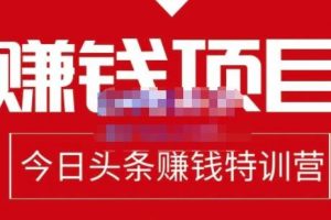 懶人領(lǐng)域·今日頭條項目玩法，頭條中視頻項目，單號收益在50—500可批量