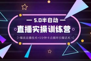 螞蟻·5.0半自動直播2345打法，半自動爆流直播技術 5分鐘卡點循環(huán)引爆話術