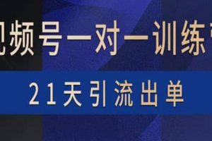 視頻號訓練營：帶貨，漲粉，直播，游戲，四大變現新方向，21天引流出單