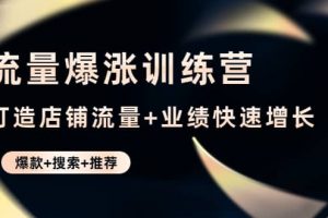 流量爆漲訓練營：打造店鋪流量 業績快速增長 (爆款 搜索 推薦)