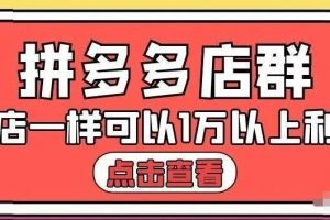 大凱電商·拼多多店群單店一樣可以產出1萬5以上利潤【付費文章】