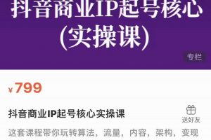 抖音商業(yè)IP起號核心實操課，帶你玩轉(zhuǎn)算法，流量，內(nèi)容，架構(gòu)，變現(xiàn)