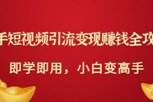 快手短視頻引流變現(xiàn)賺錢全攻略：即學(xué)即用，小白變高手（價值980元）