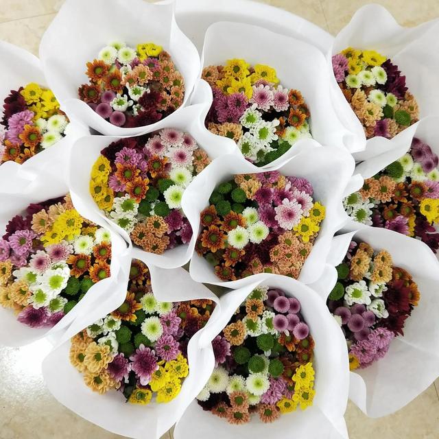 女生的小雛菊長(zhǎng)什么樣女生的小雛菊長(zhǎng)什么樣(不是花)照片插圖