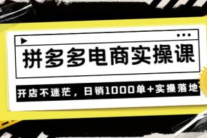 不滅《拼多多電商實操課》開店不迷茫，日銷1000單 實操落地（價值299元）