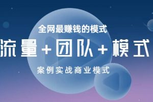 全網最賺錢的模式《流量 團隊 模式》案例實戰商業模式