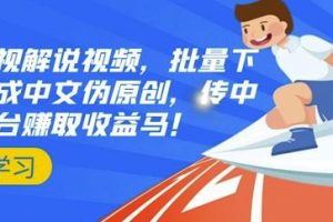 國外影視解說視頻，批量下載翻譯成中文偽原創(chuàng)，傳中視頻平臺賺取收益