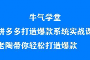 牛氣學堂拼多多打造爆款系統實戰課，老陶帶你輕松打造爆款