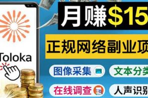 正規網絡副業賺錢平臺Toloka，利用業余時間月賺150美元