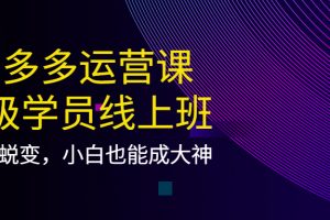 拼多多運營課：超級學員線上班，21天蛻變，小白也能成大神